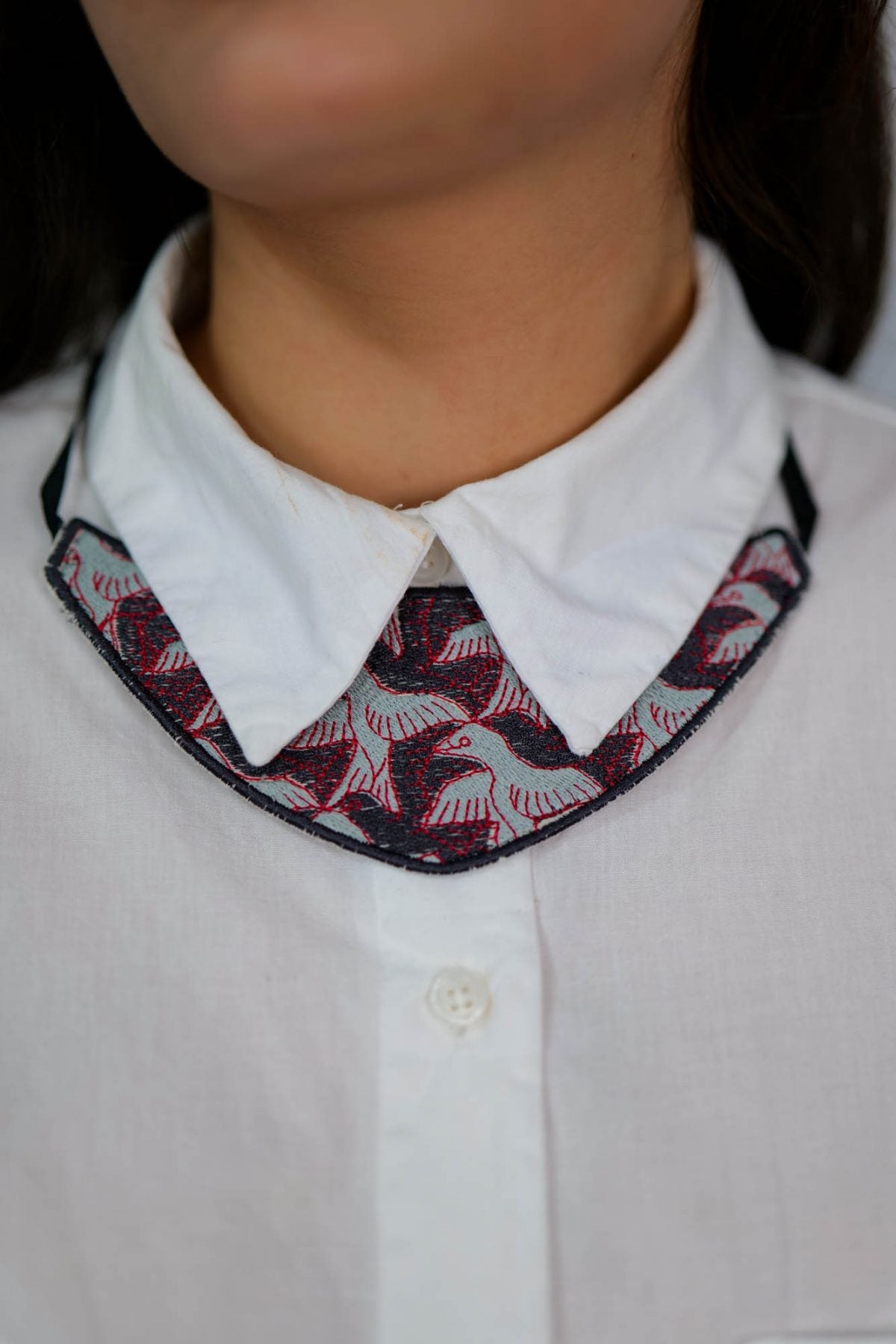 Accesorii